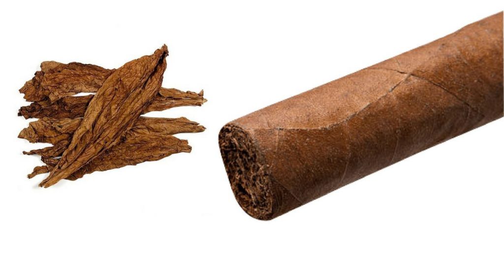 How a cigar is made. Structure, composition and anatomy.