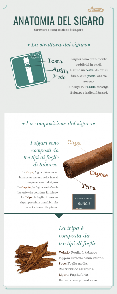 anatomia del sigaro, struttura e composizione - infografica