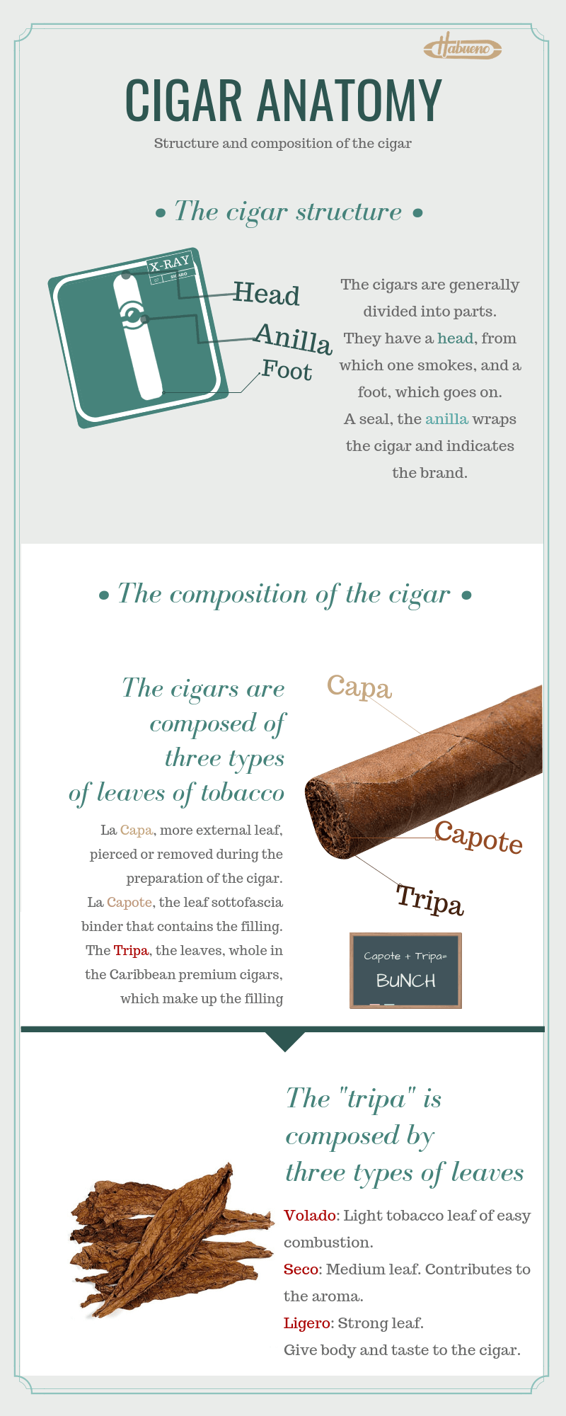Cigar How it is made the anatomy of the Cigar · Habueno